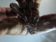 💦💦💦 all over your face 12/16