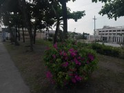 A walk through Manila. Philippines 15/16