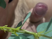 ejaculating milk 12/16