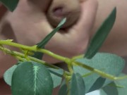 ejaculating milk 7/16