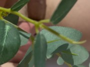 ejaculating milk 8/16