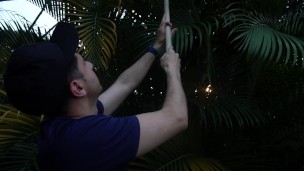 Ver trabajar a mi empleado me excita tanto que termino follándolo muy rico - ABBY CARTER