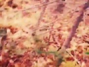 Pesadelo Religioso - Polvojack (Official Music Video) 10/16