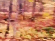 Pesadelo Religioso - Polvojack (Official Music Video) 11/16