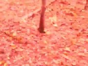 Pesadelo Religioso - Polvojack (Official Music Video) 16/16