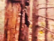 Pesadelo Religioso - Polvojack (Official Music Video) 8/16