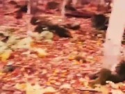 Pesadelo Religioso - Polvojack (Official Music Video) 9/16