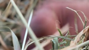 Young jerking off: Masturbation in the Hay in the Village - at Grandpa's Father!