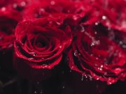 All Girls If See That 1/16