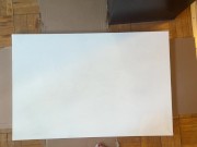 Painting in a Bush with my Feet!