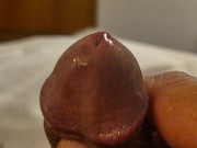 thinking of you... the end 16/16