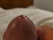 thinking of you... the end 2/16