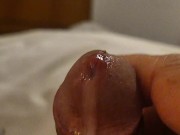 thinking of you... the end