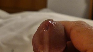 thinking of you... the end