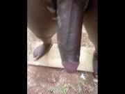 DARK HUGE CREAMY MONSTER DICK 🍆💦 1/16