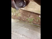 DARK HUGE CREAMY MONSTER DICK 🍆💦 12/16