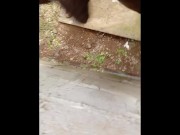 DARK HUGE CREAMY MONSTER DICK 🍆💦 13/16