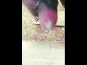 Jerking off Hard while Watching Porn 15/16