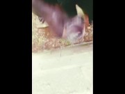 Jerking off Hard while Watching Porn 5/16