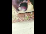 Jerking off Hard while Watching Porn 9/16