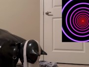 Latex Doggy Bitchsuit Spirals 11/16