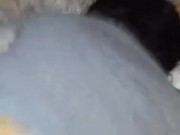 PYShotsex- Getting Pounded full of cum! SEXY CREAMPIE Watch it run out! HUGE LOAD! 5/16