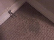 POV Power Pissing All Over My Bedroom Carpet and Walls (Compilation) 2/16