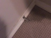 POV Power Pissing All Over My Bedroom Carpet and Walls (Compilation) 4/16
