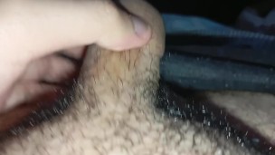 PENE PEQUEÑO PELUDO.