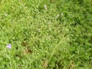 Risky Strip at Vacant House for sale 12/16