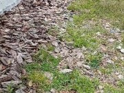 Risky Strip at Vacant House for sale 2/16