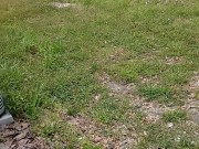 Risky Strip at Vacant House for sale 3/16