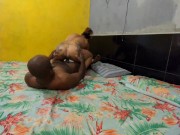 Minha vadia senta rapido na pica deixando meu pau todo gozado em pouco tempo de sexo 9/16