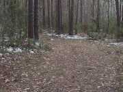 Naturist: Polish man walks through frozen forest (naked dick) - KolowskiBRO NAKED!!! 2/16