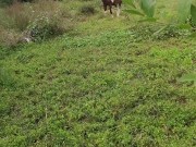 Inexperienced sucks cock in the forest and pisses 11/16