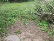 Inexperienced sucks cock in the forest and pisses 16/16