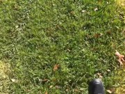 JOI public park with countdown 1/16