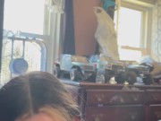 Sister in law giving head to brother in law 14/16