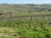 Hot milf gets naked on nature moon, about to pee OnlyFans 1/16