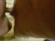 Real Couple sex in the shower, Amateur couple having fun, Real Homemade SEX 6/16