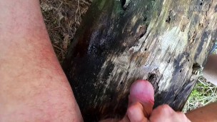 Uncut Pink Small Penis: PEEING with a TRIANGULAR STREAM (wiping the cock on the trunk) - pissing!