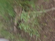 Hot suck n fuck vids 14/16