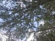 Hot suck n fuck vids 15/16