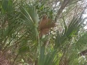 Hot suck n fuck vids 8/16