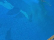 Naked girl in sauna 6/16