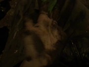 messy graffiti girl fetish 10/16