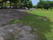 Cumshot handjob at a secret beach 1/16