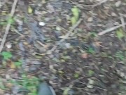 The first time he sucks in the forest and pisses 3/16