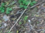 The first time he sucks in the forest and pisses 5/16