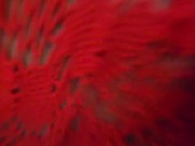 Hardcore Doggy Style 12/16